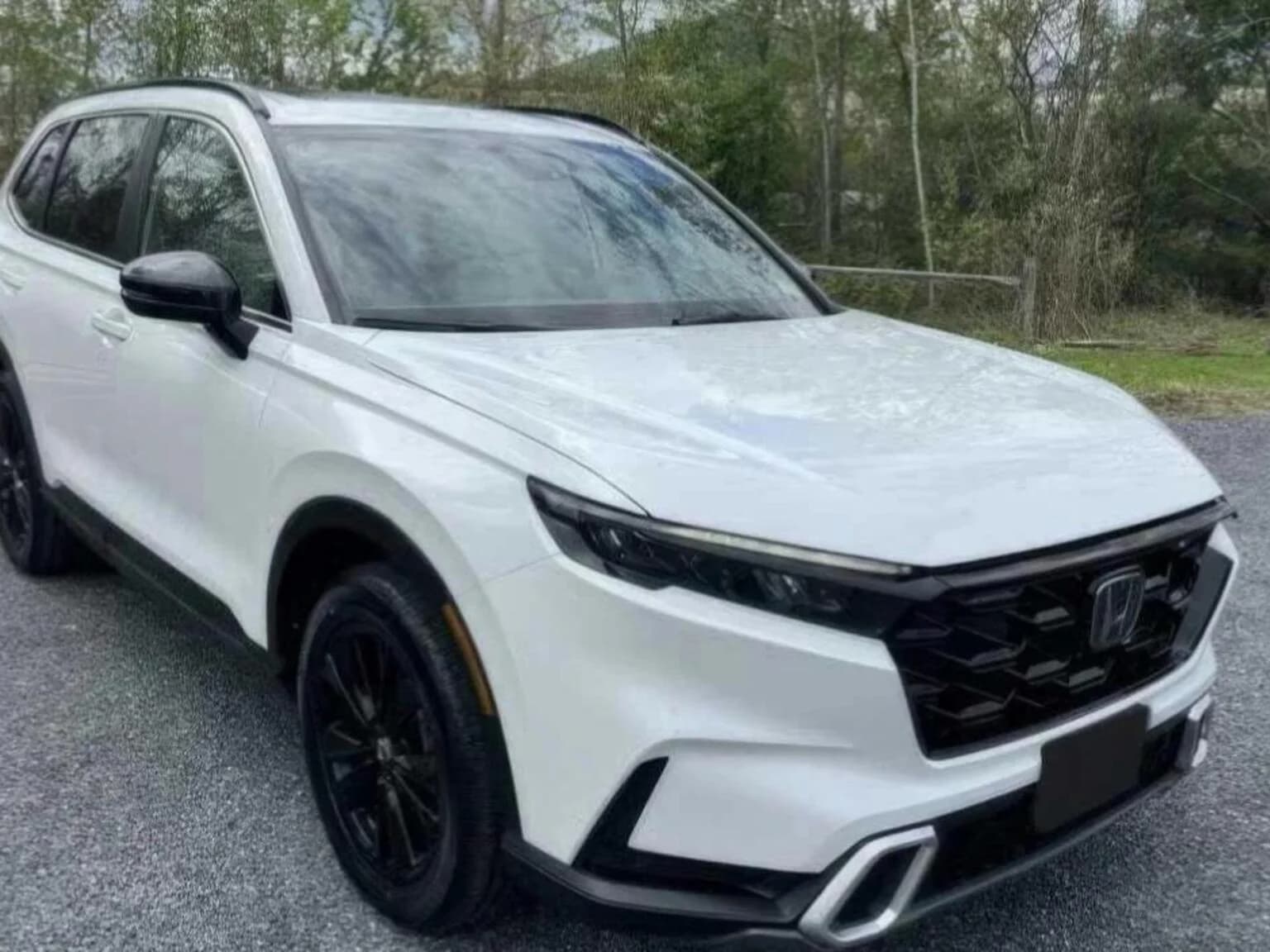 SUV de alquiler
